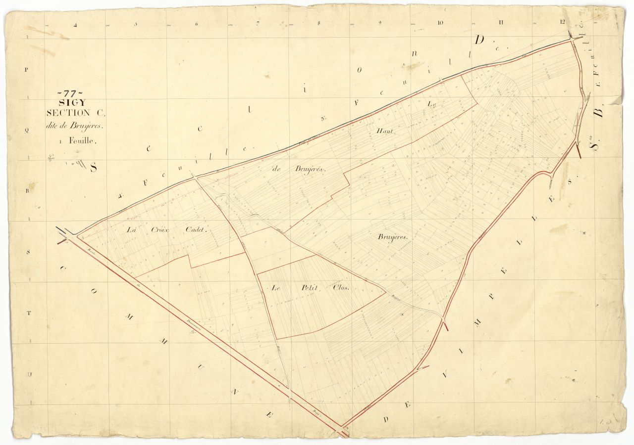 Section C1
