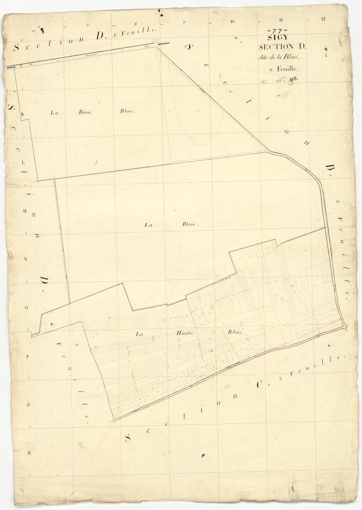 Section D3