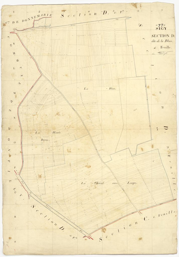 Section D4