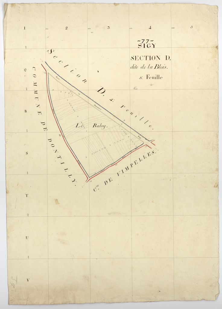 Section D5