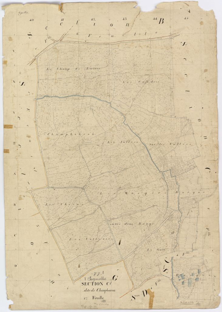 Section C1