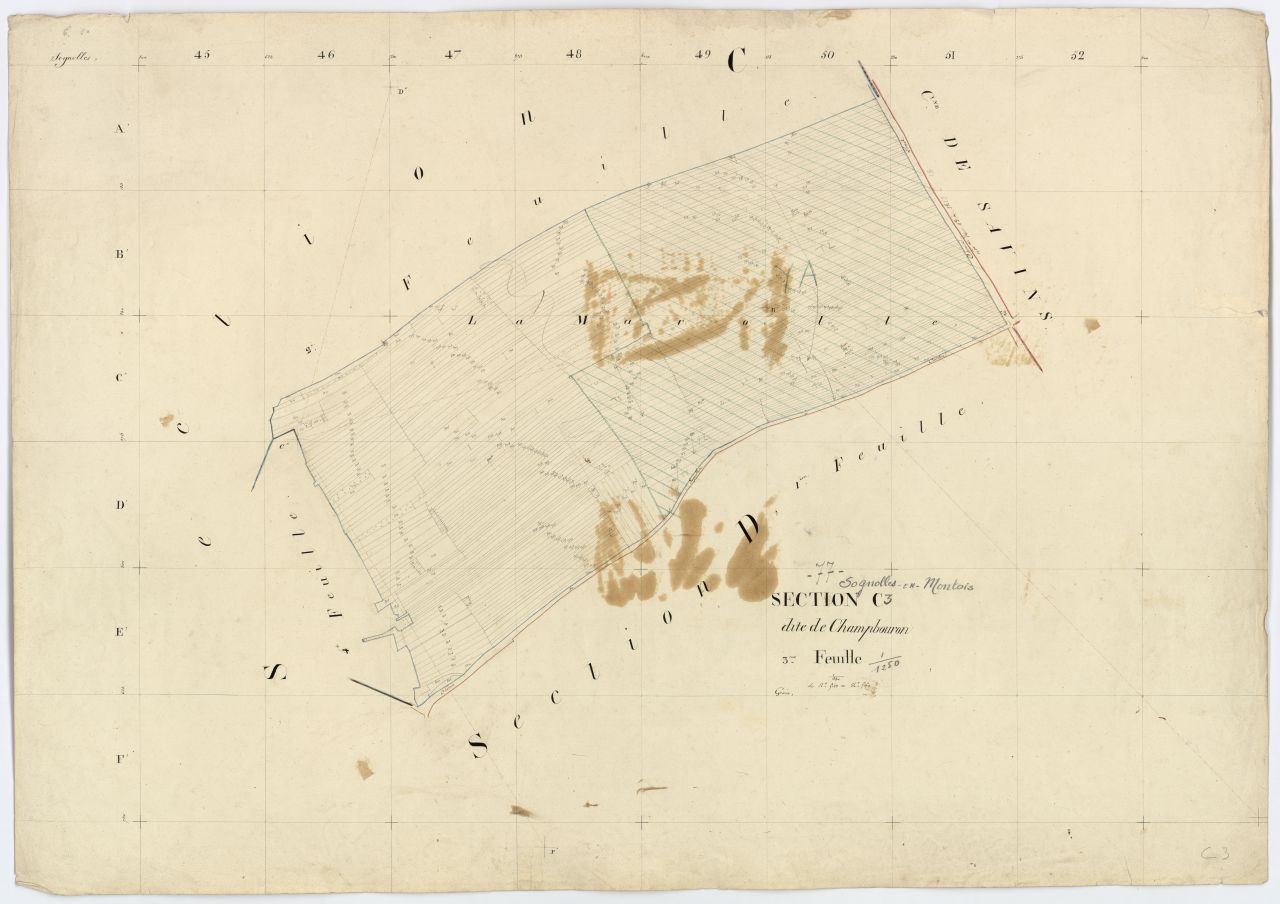 Section C3