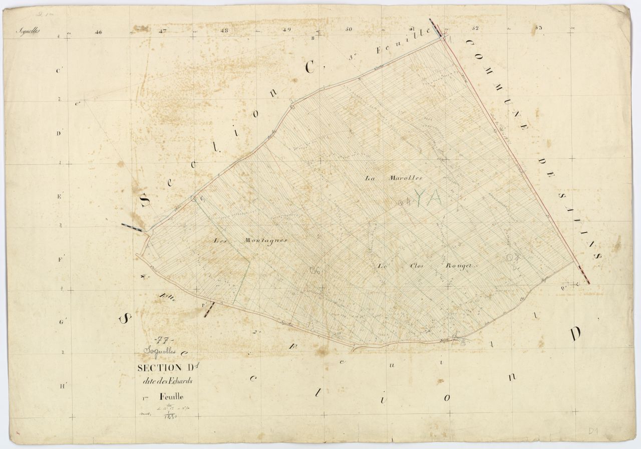 Section D1