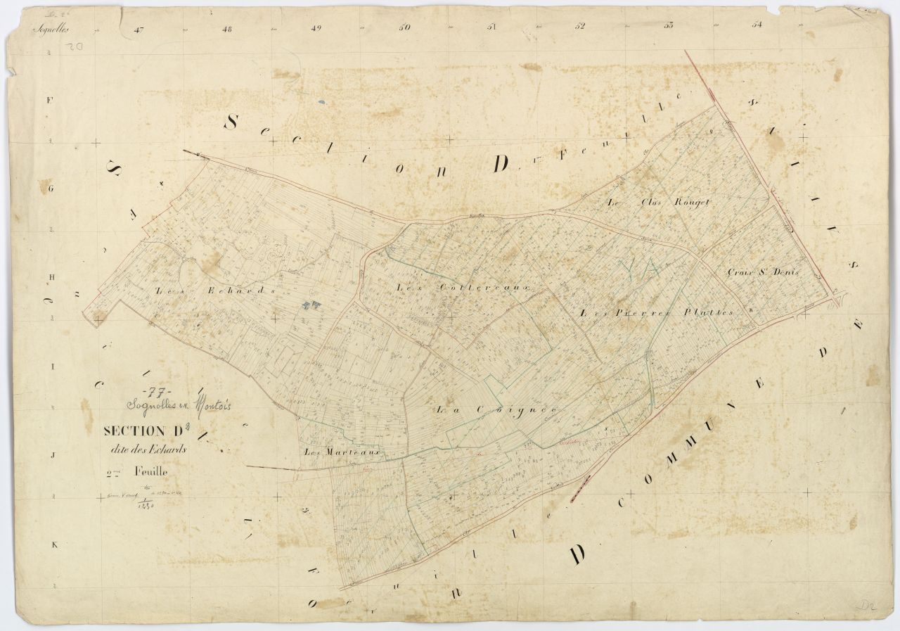 Section D2