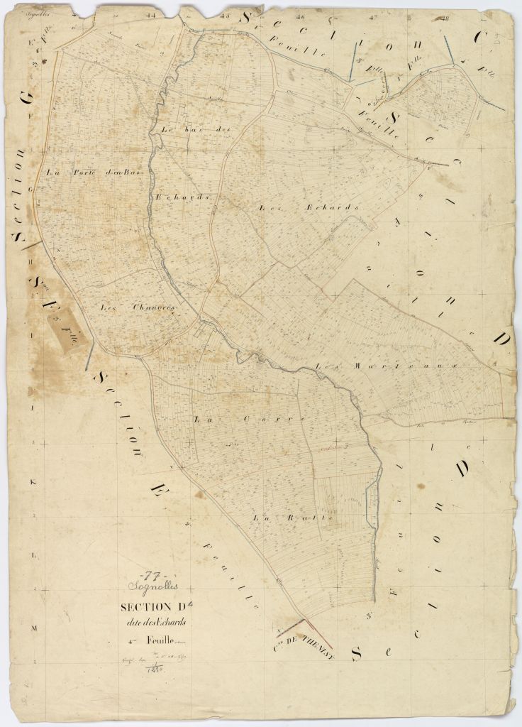 Section D4