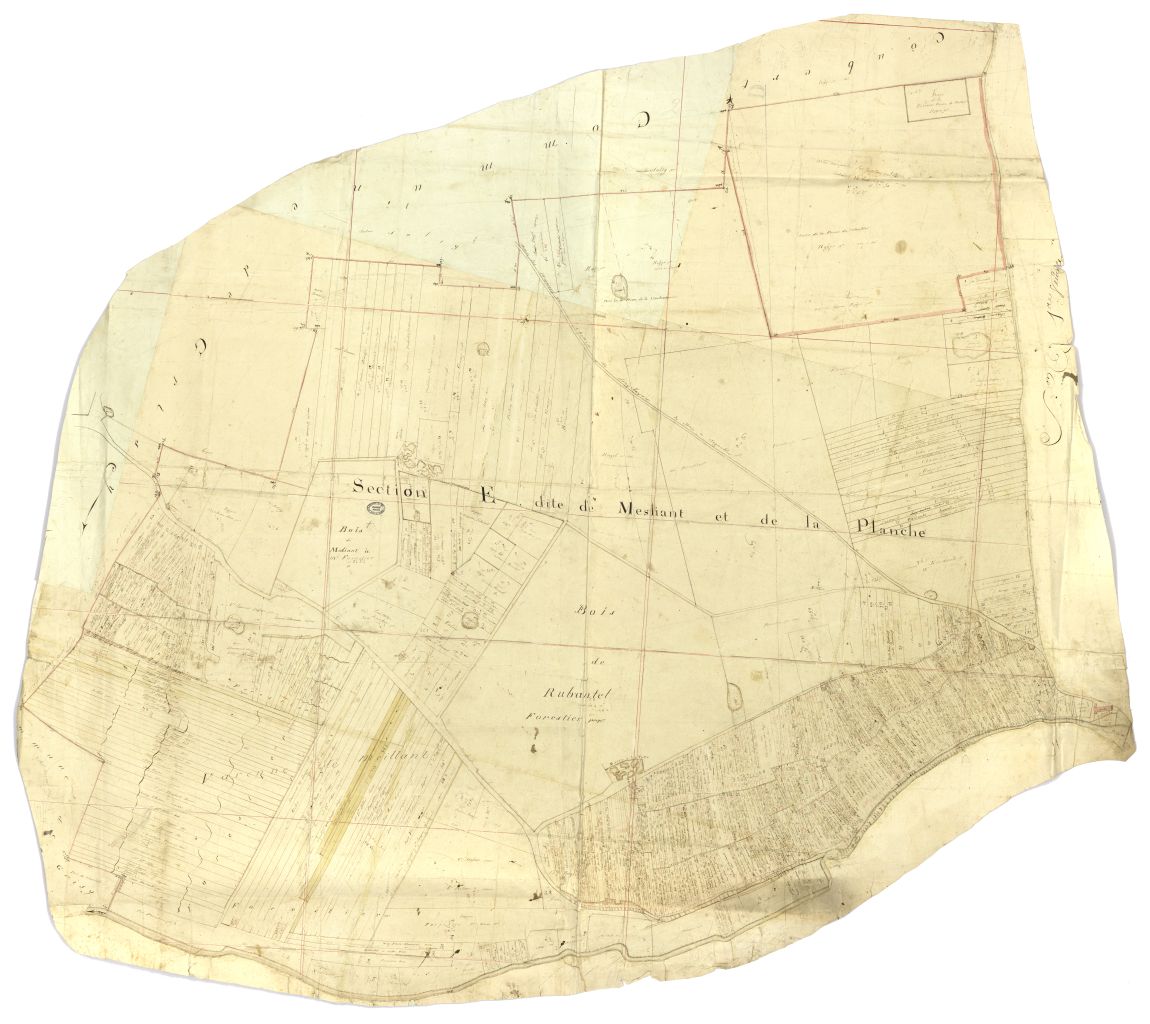 minute, section E