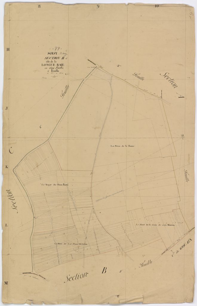 Section B1