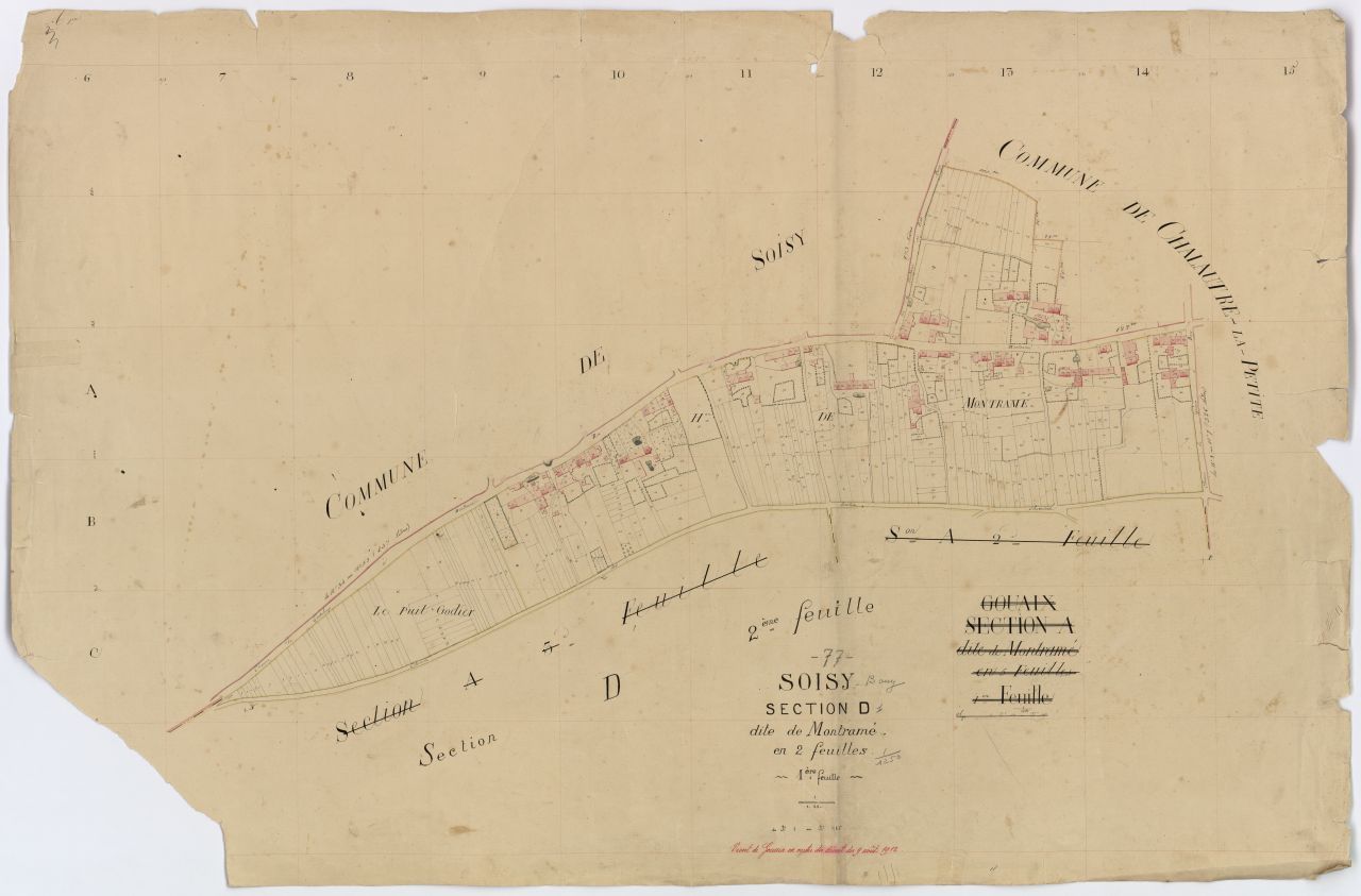 Section D1
