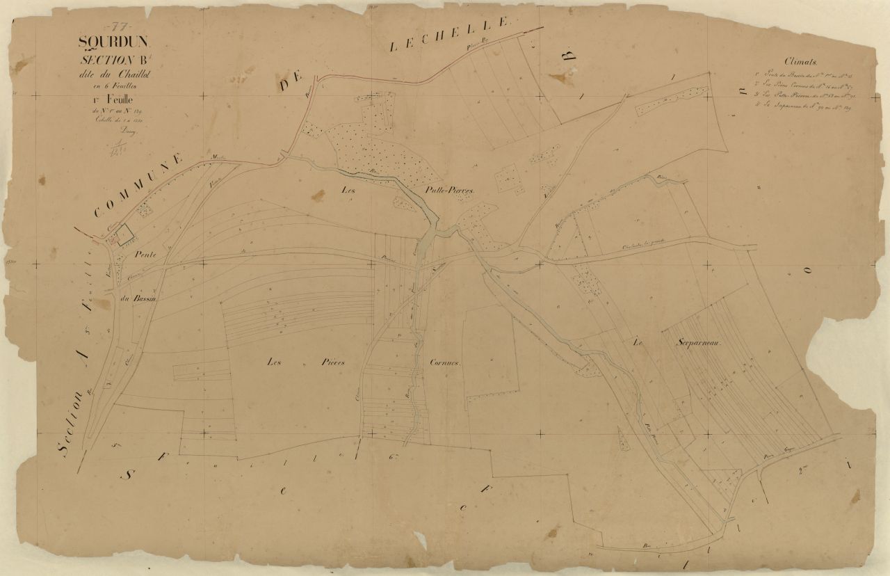 Section B1