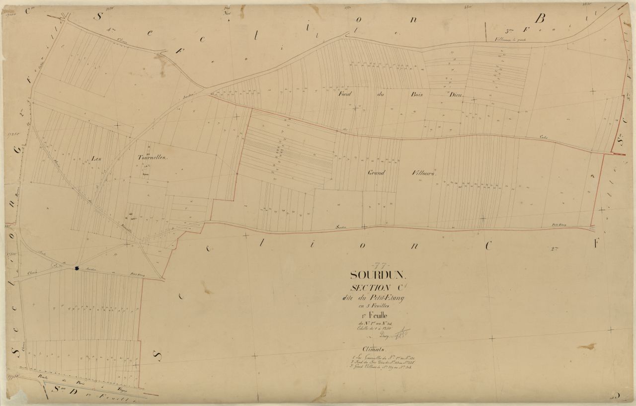Section C1
