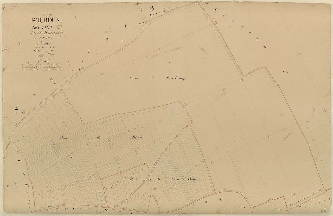 Section C3