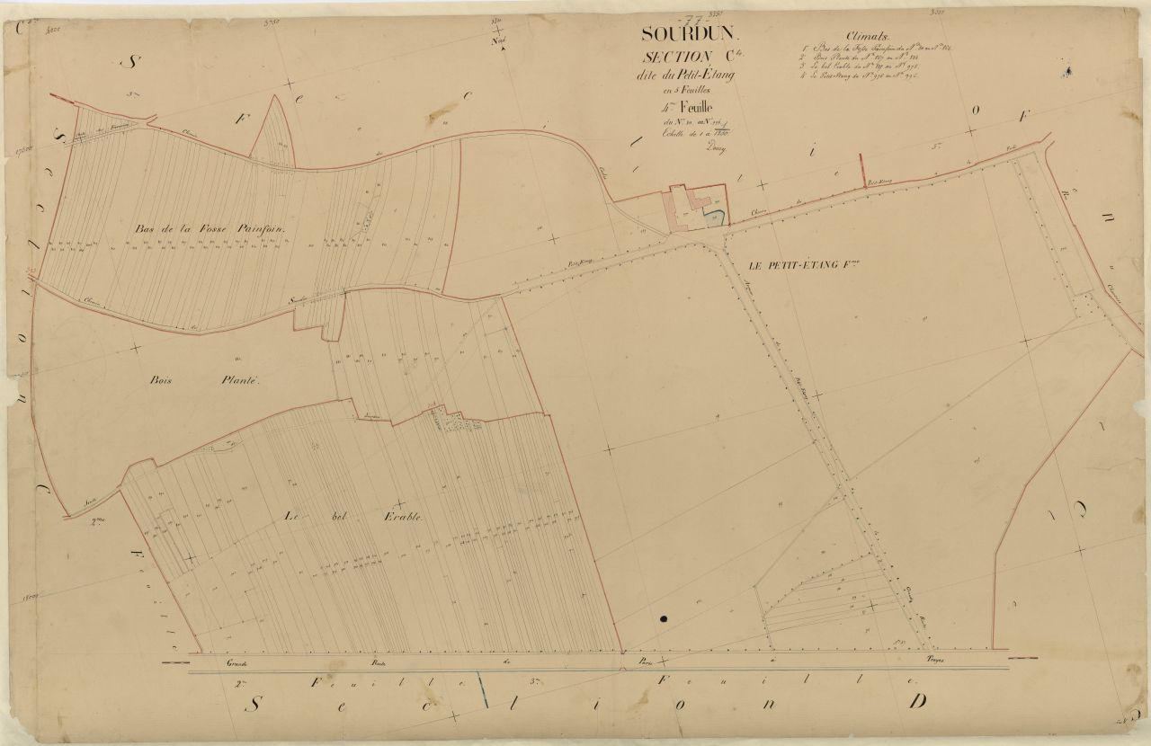 Section C4