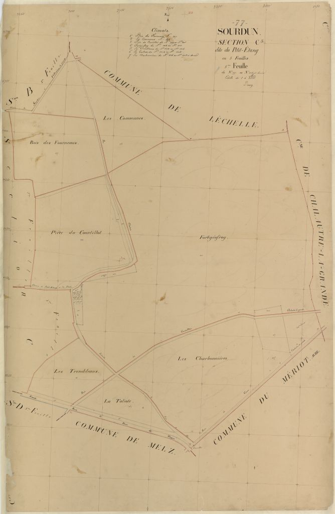 Section C5