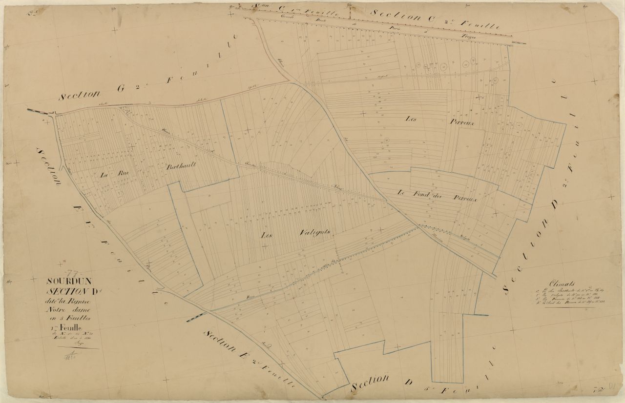 Section D1