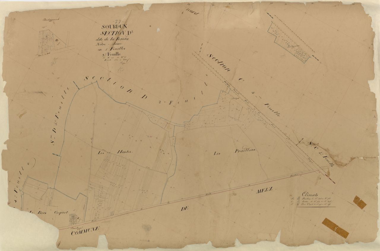 Section D3