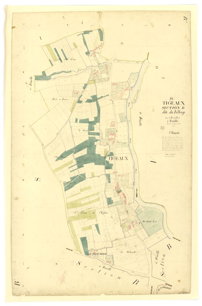 Section B1