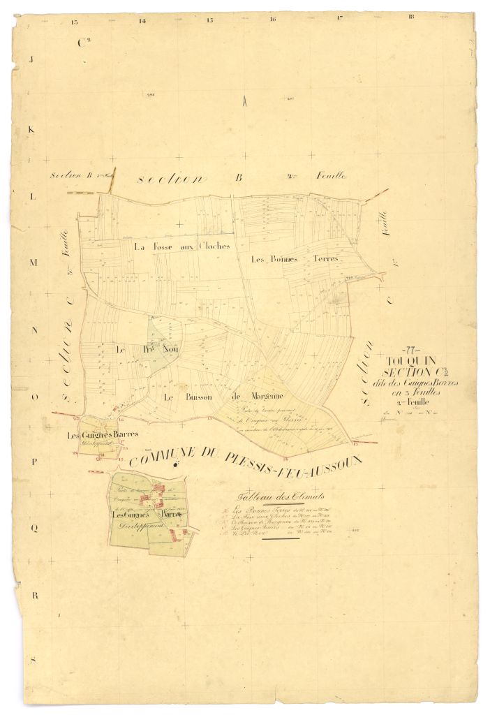 Section C2