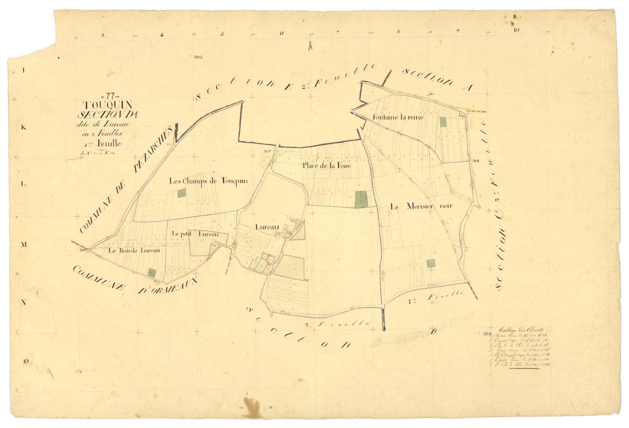 Section D1