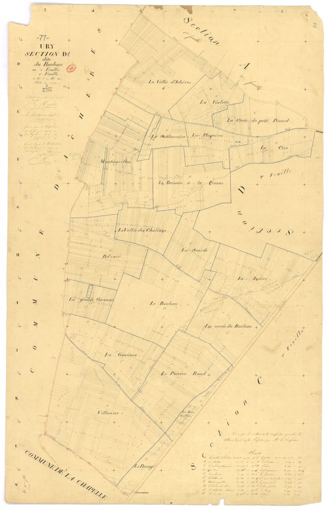 Section D dite du Bouleau, en 2 feuilles, 1ere feuille