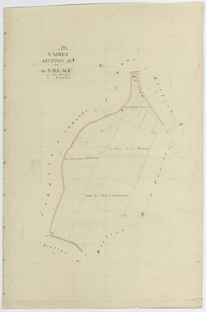 Section B1