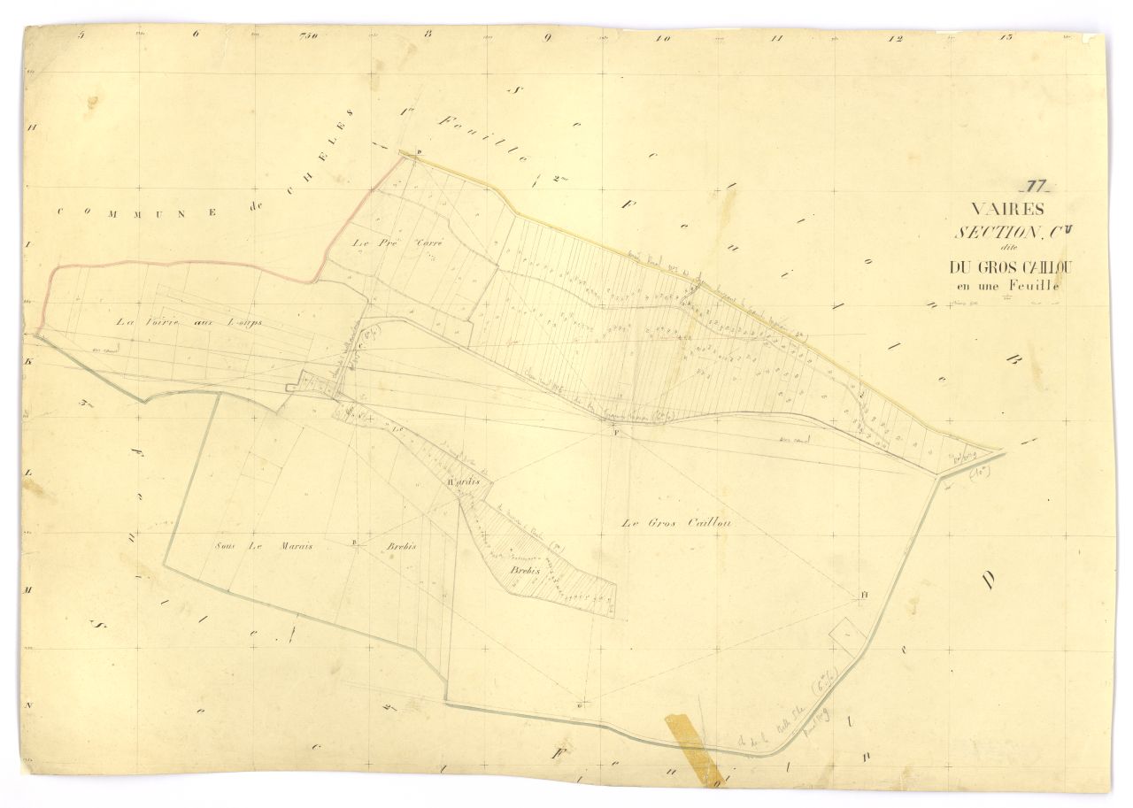 Section C