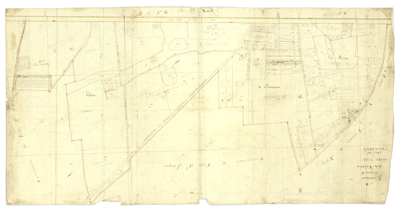 minute, section C