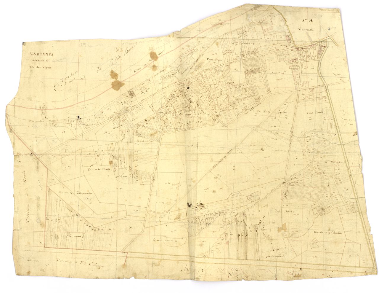 minute, section D