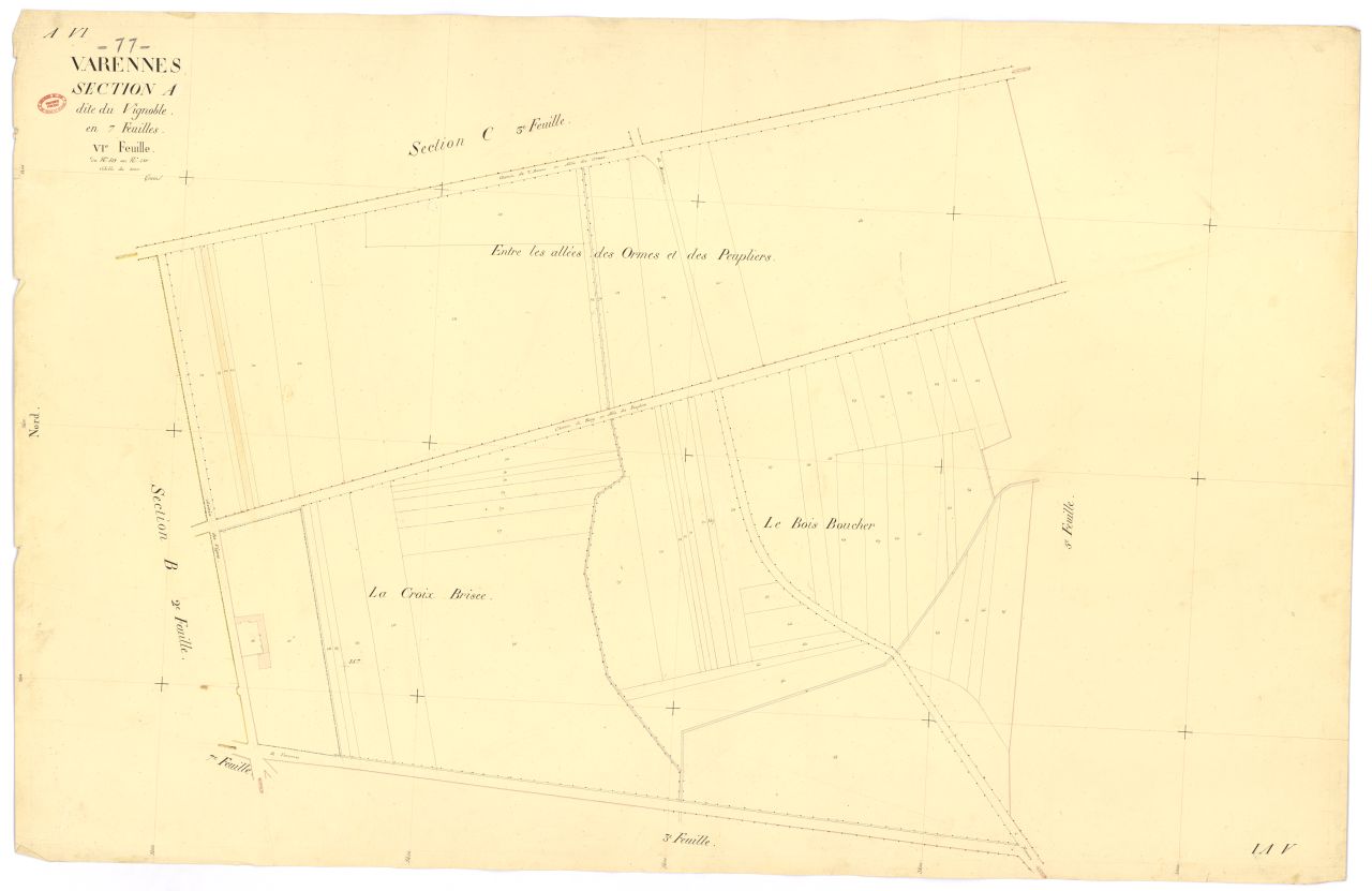 Section A dite du Vignoble, en 7 feuilles, 6eme feuille