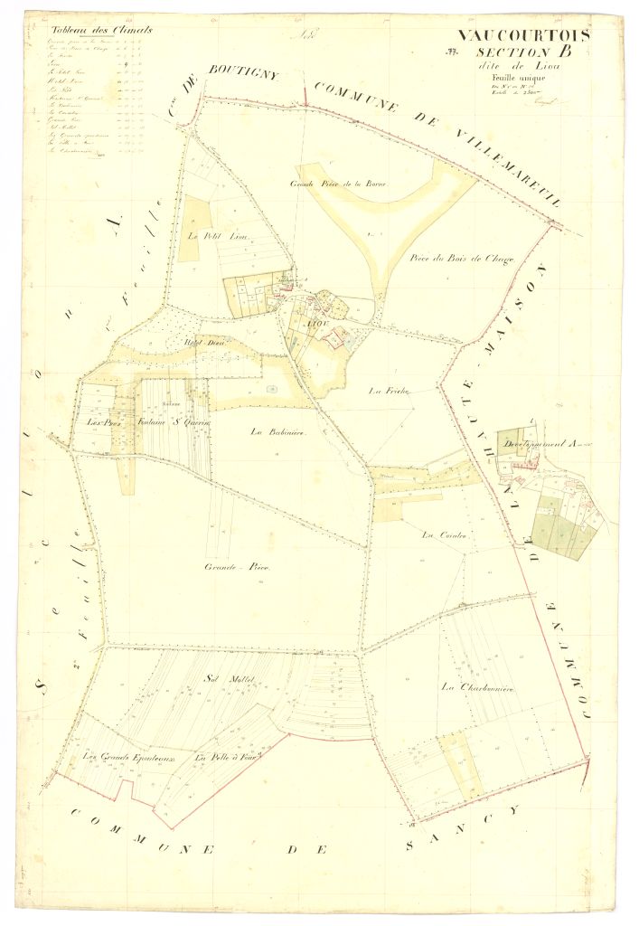 Section B