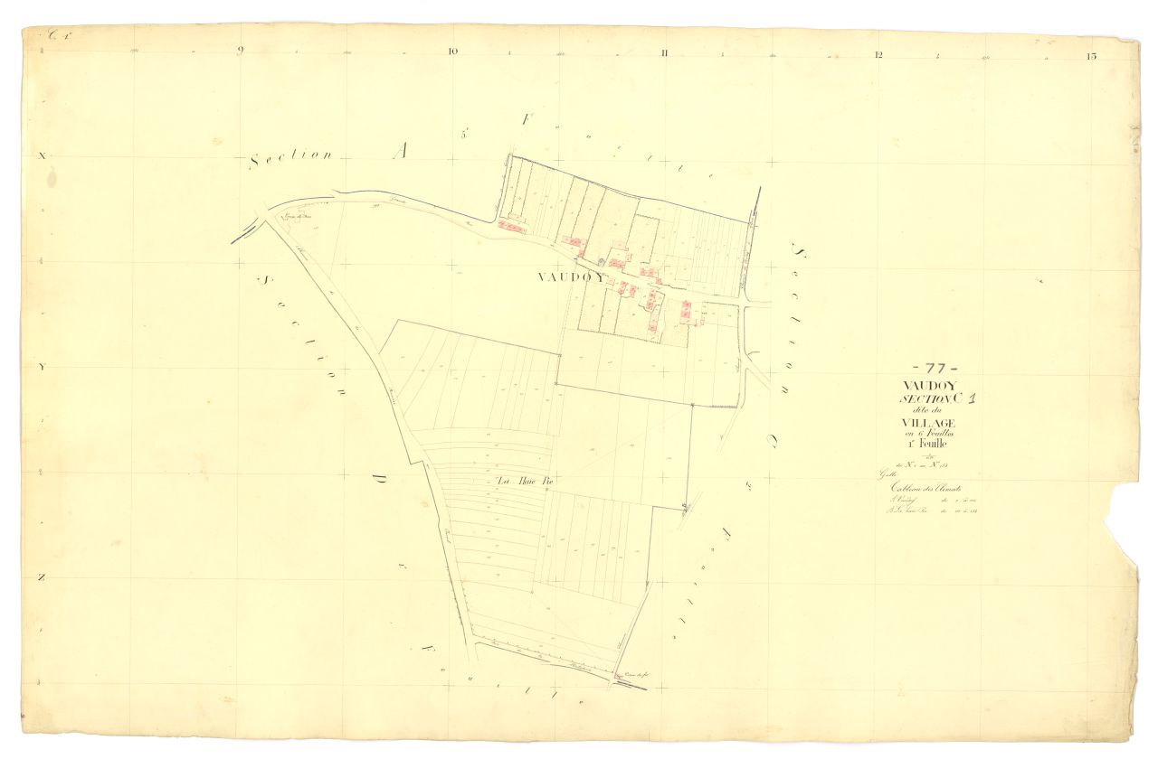 Section C1