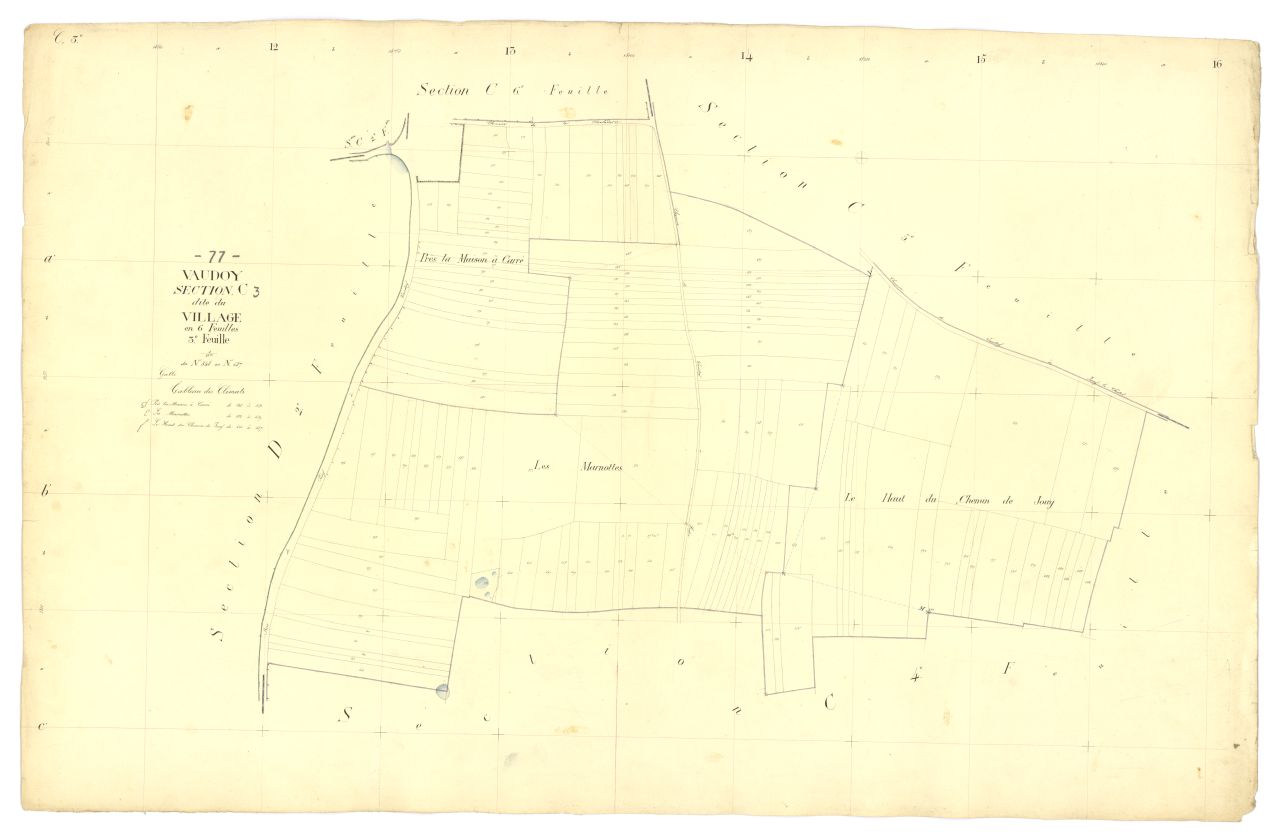 Section C3