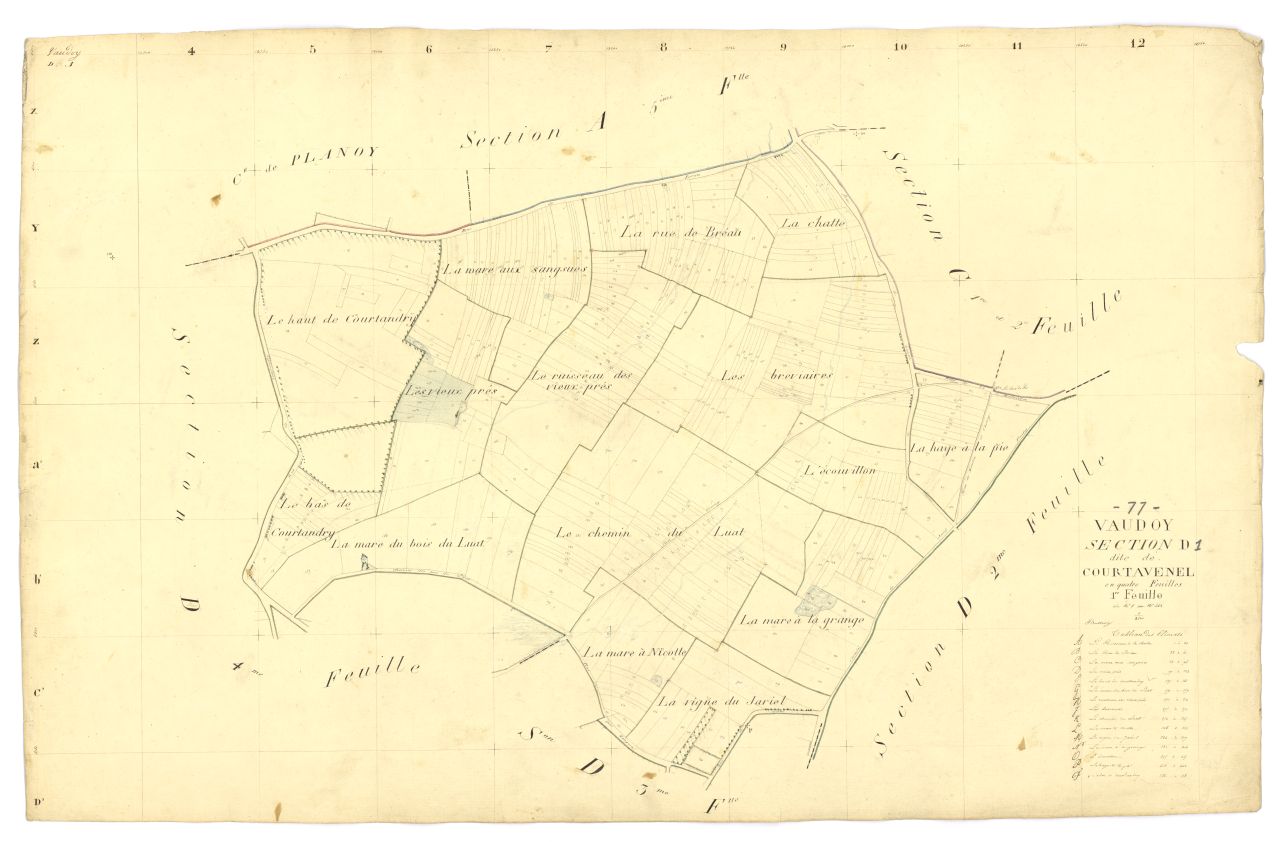 Section D1