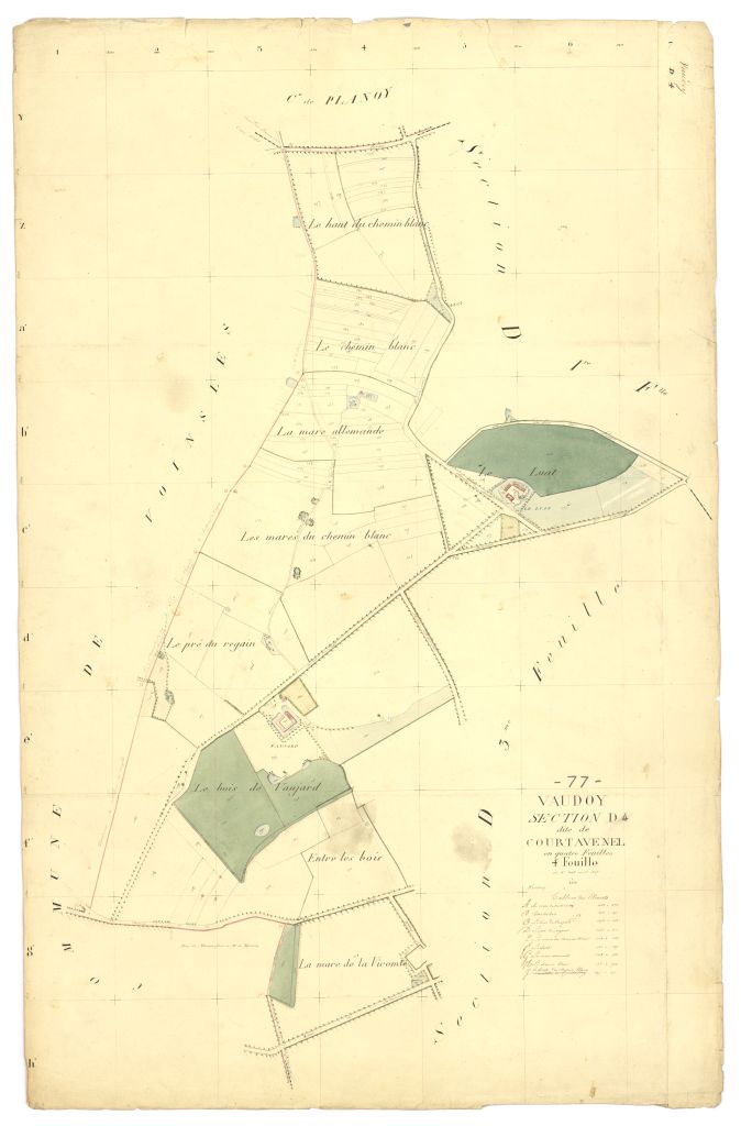 Section D4