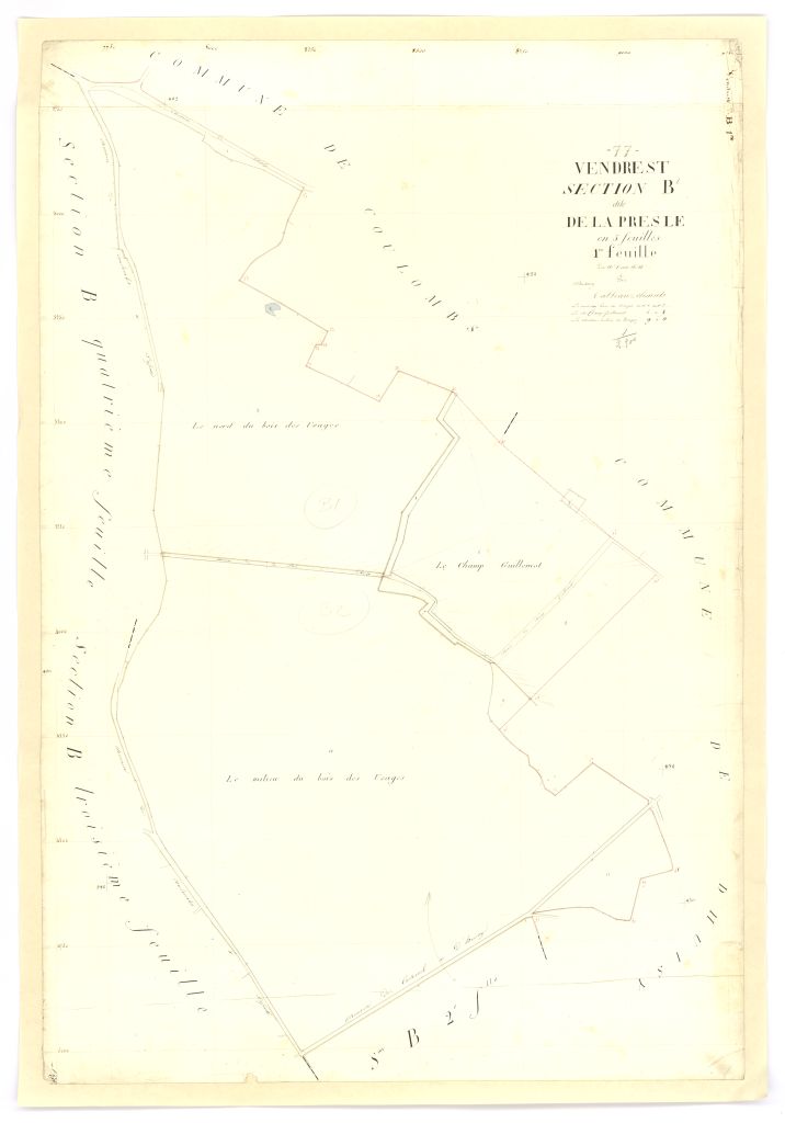 Section B1