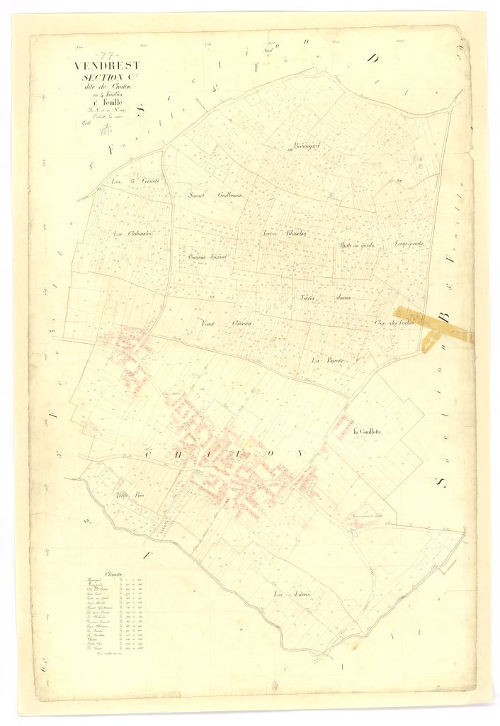 Section C1