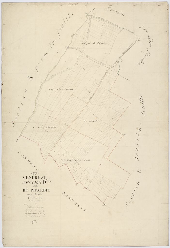 Section D1