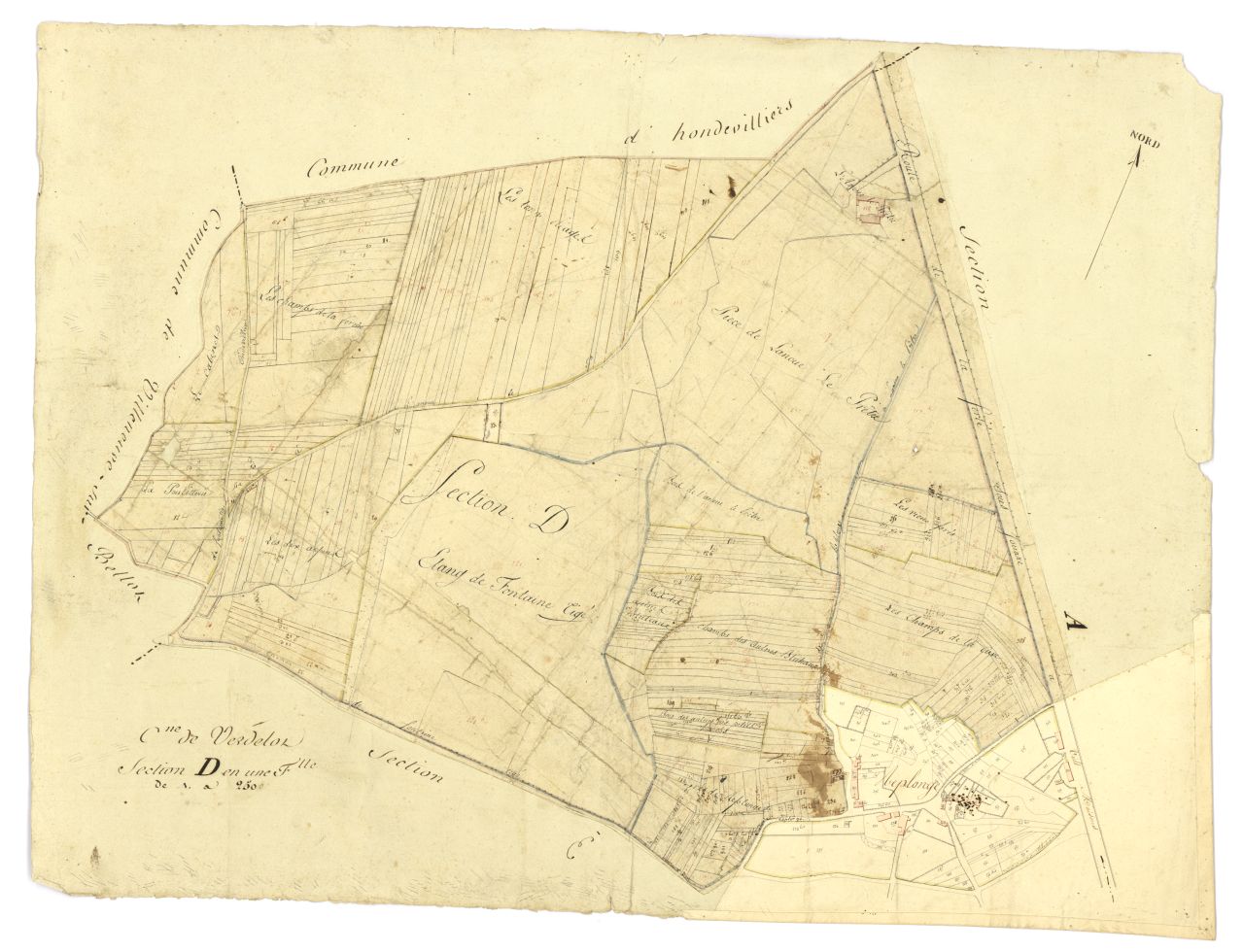 minute, section D