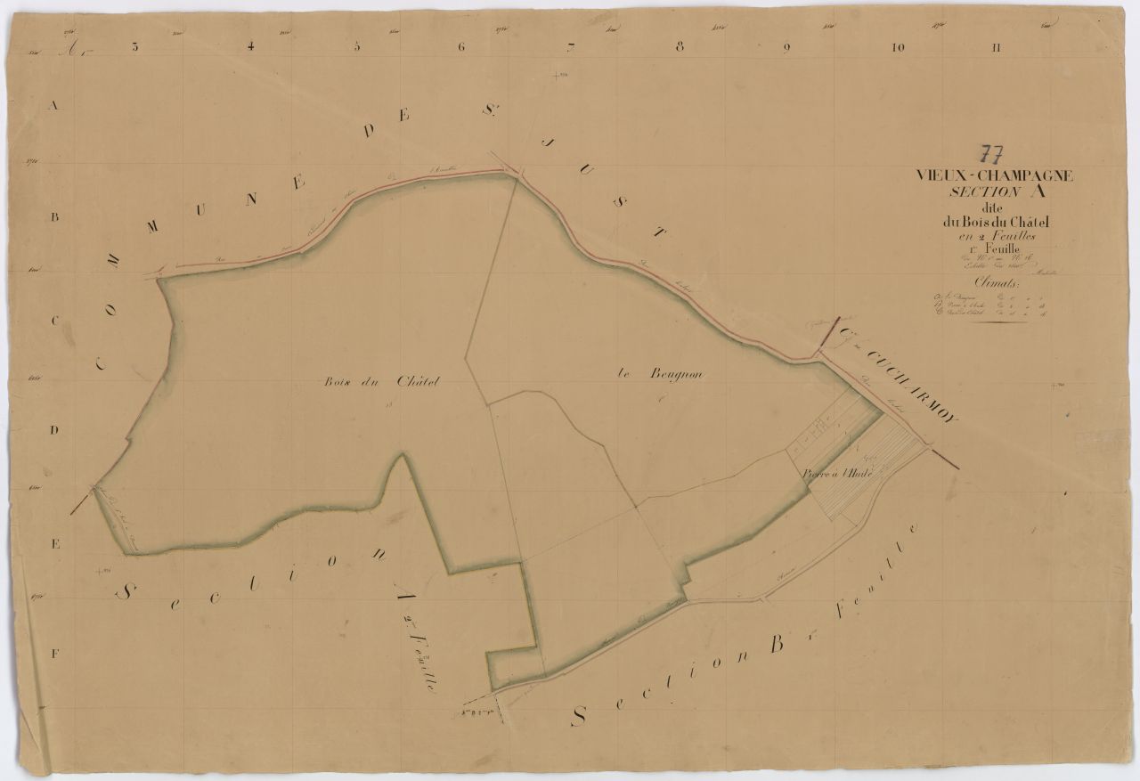 Section A1
