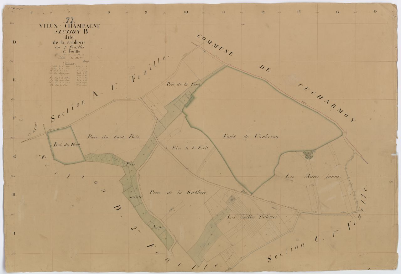 Section B1