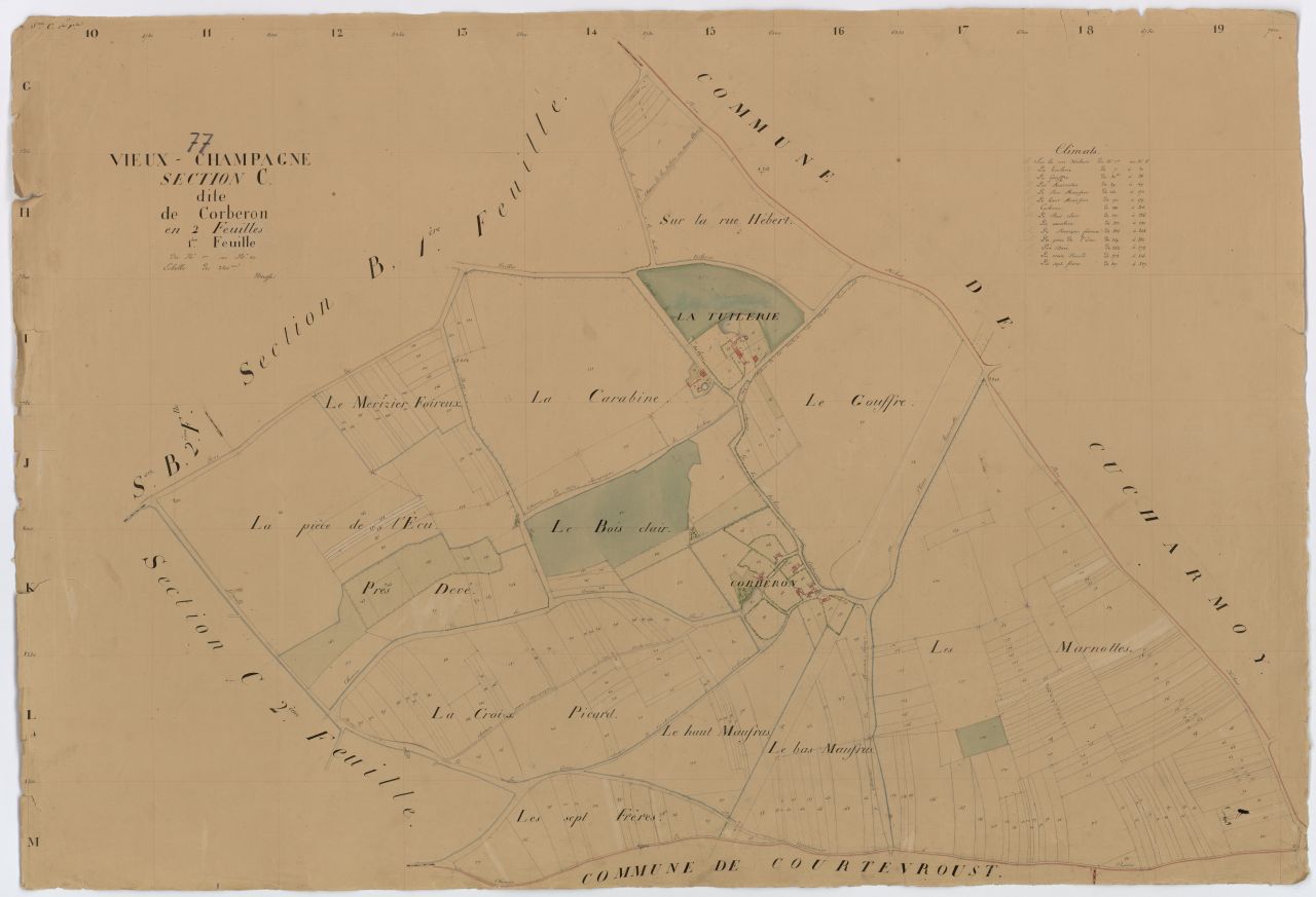 Section C1