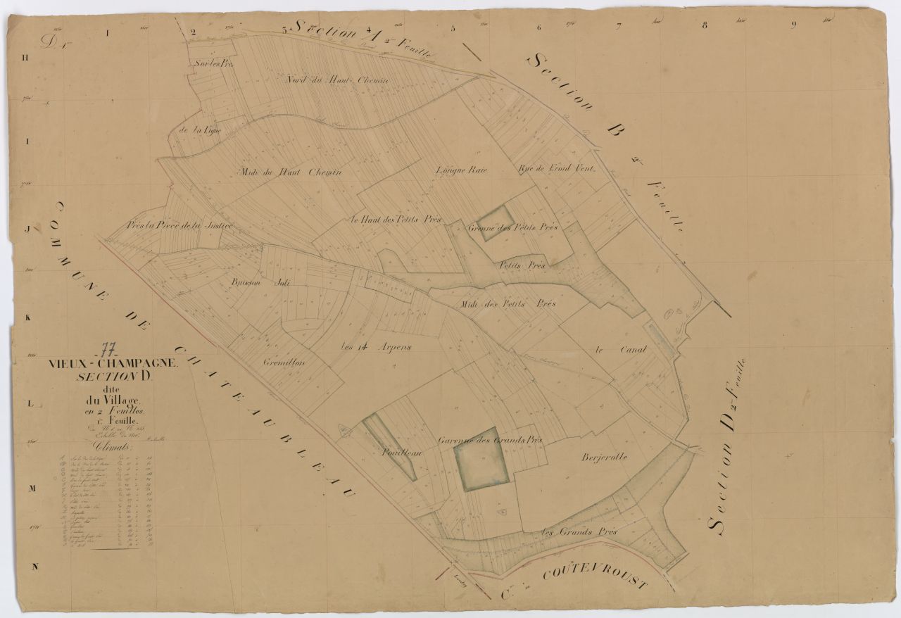 Section D1