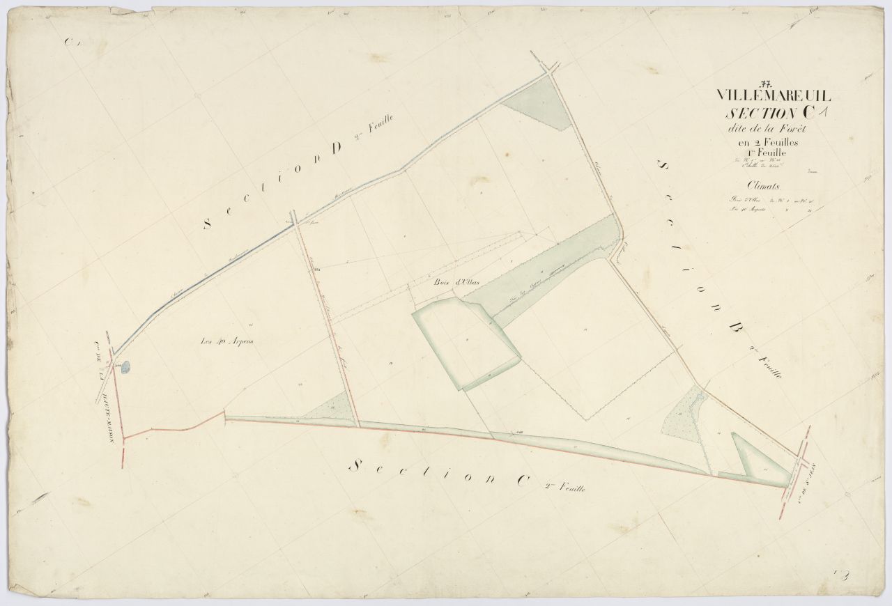 Section C1