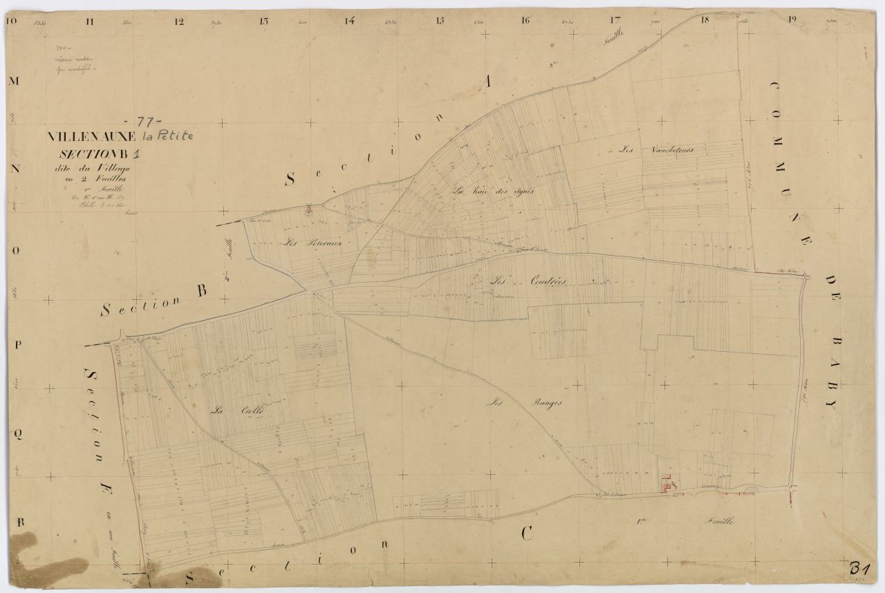 Section B1