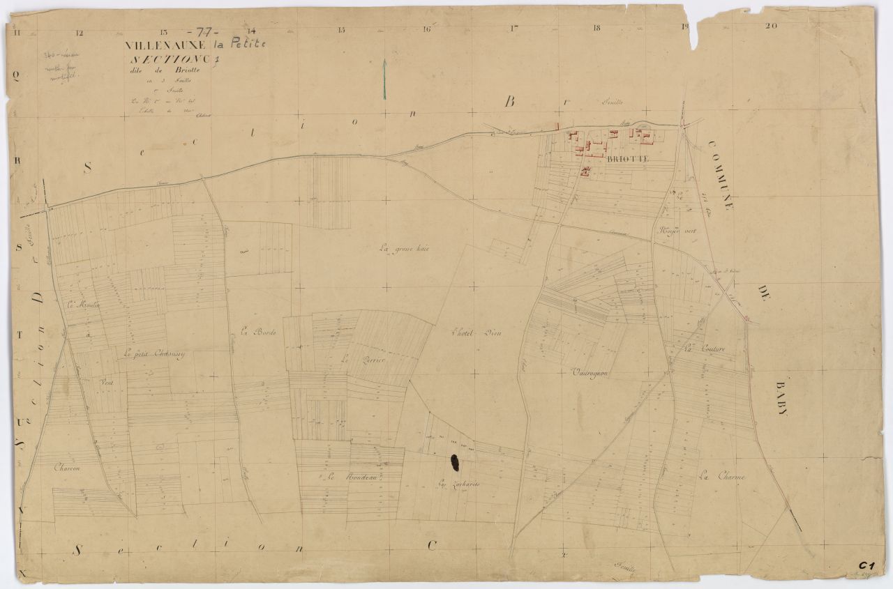 Section C1