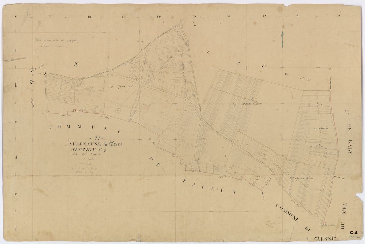 Section C3