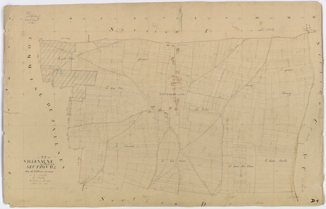 Section D1