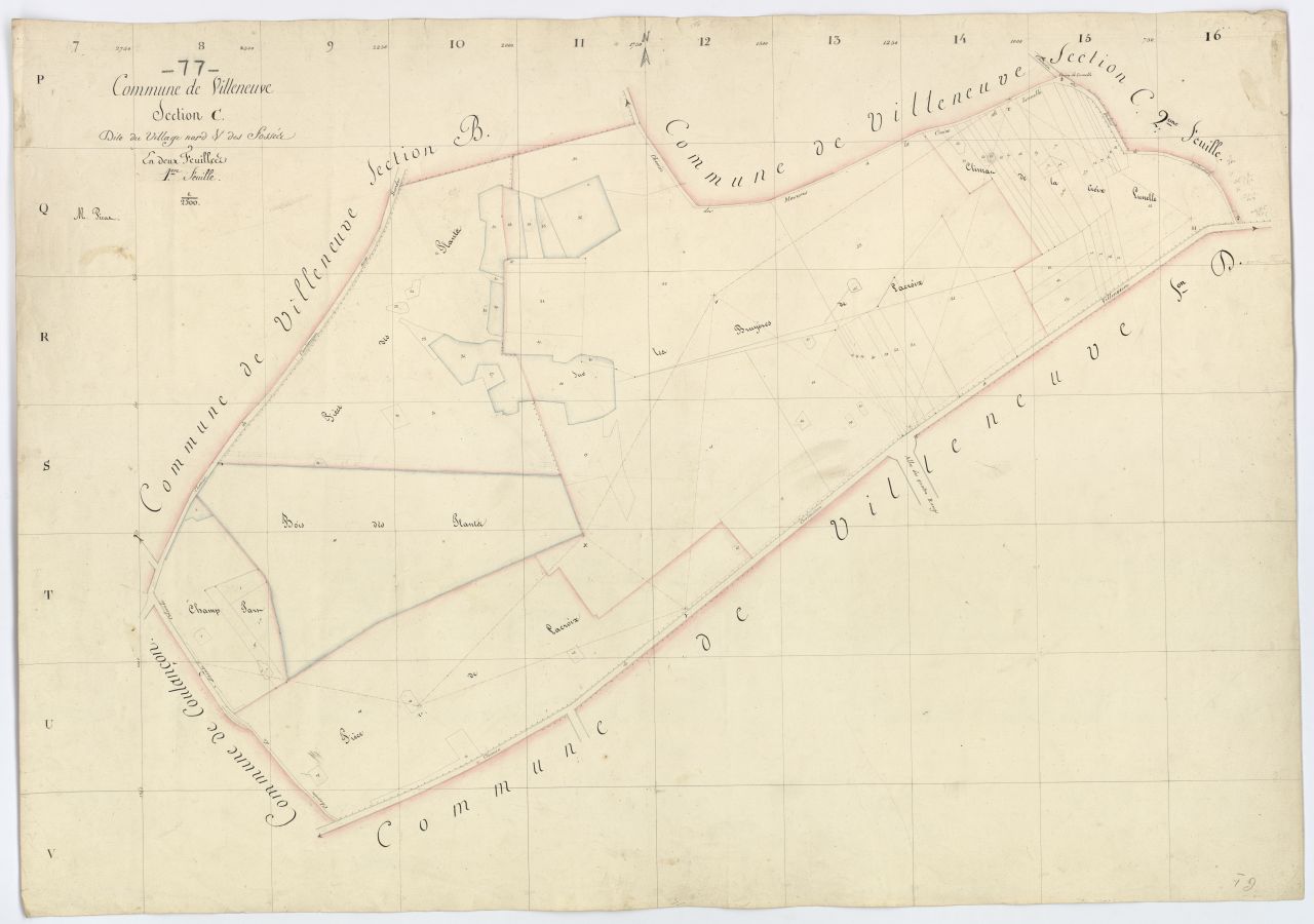Section C1