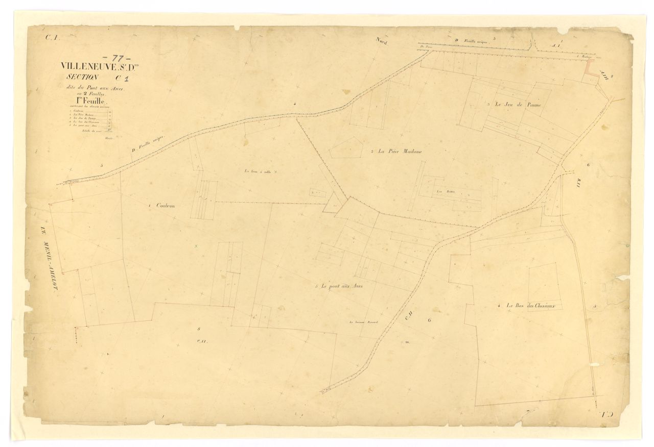 Section C1