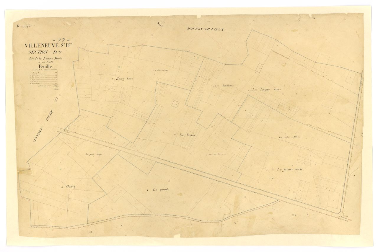 Section D