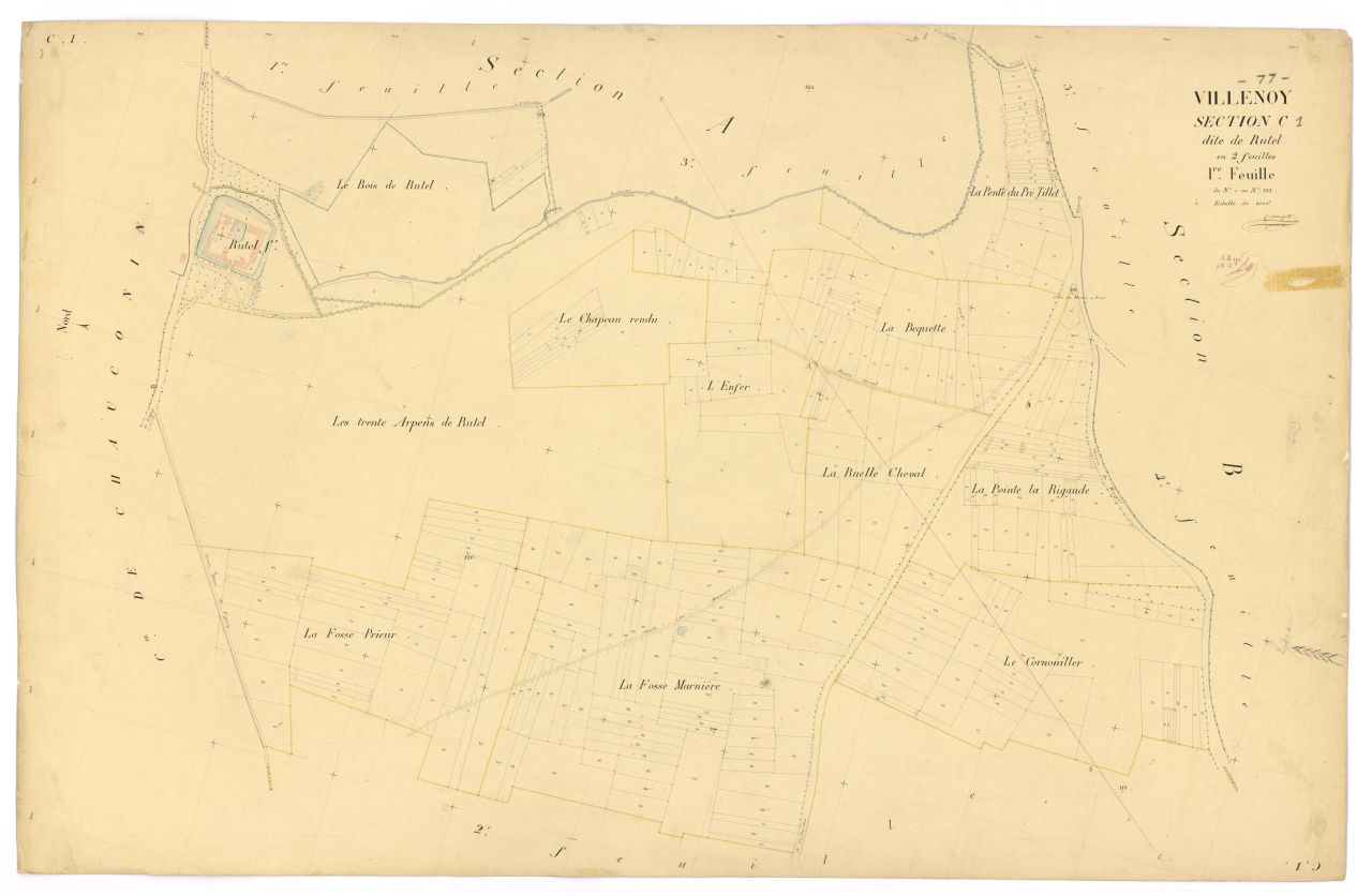 Section C1